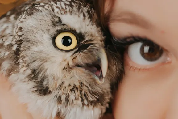 ПлейХъб Казино Поддръжка